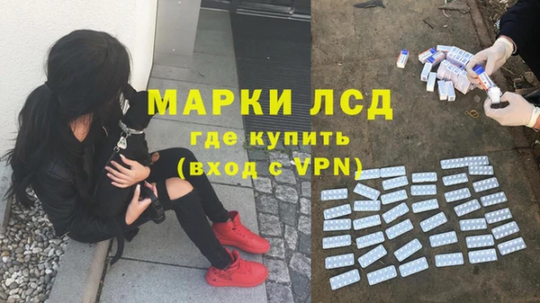 спиды Магас