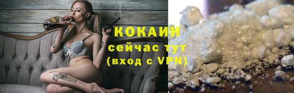 спиды Магас