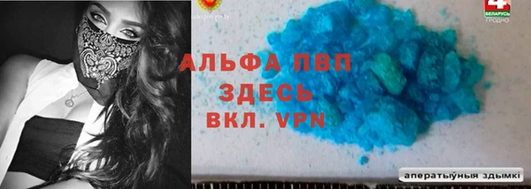 спиды Магас