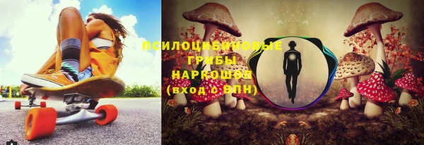 спиды Медвежьегорск