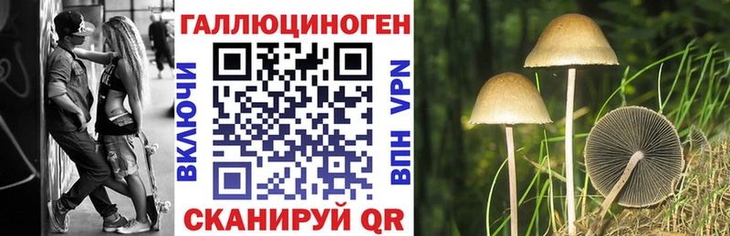 Псилоцибиновые грибы MAGIC MUSHROOMS Зарайск